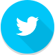 Icono Twitter